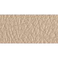 WAKEBOARD TOWER CANVAS