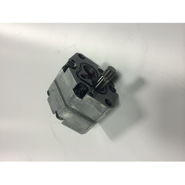 Replacement Pump For Sunstream