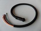 220V Harness For Brain Box